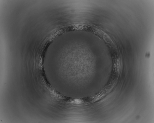 X0000097920610200803281427