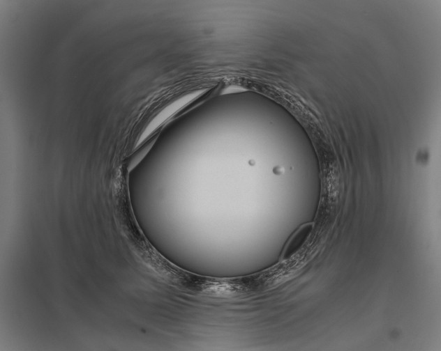 X0000097920611200803281427