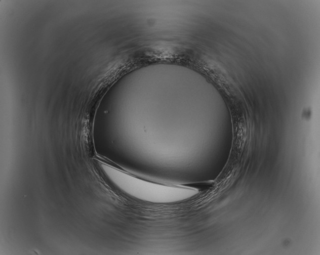 X0000097920612200803281427