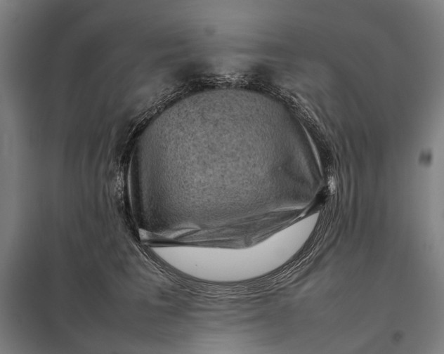 X0000097920613200803281427