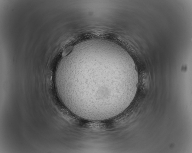 X0000097920615200803281427