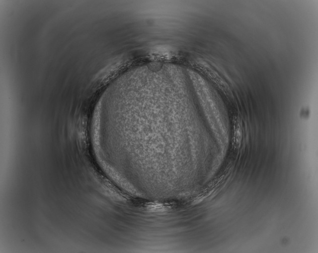 X0000097920616200803281427