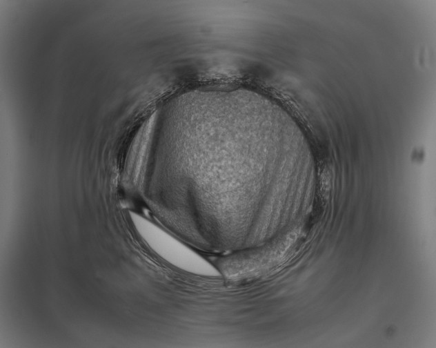 X0000097920617200803281427