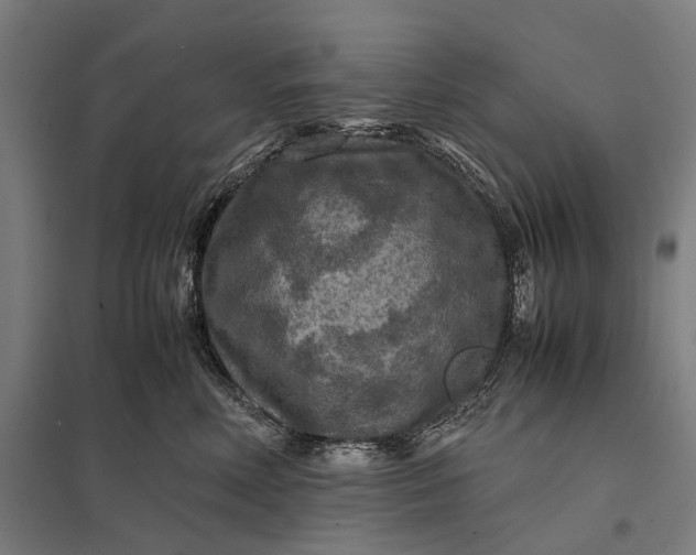 X0000097920618200803281427