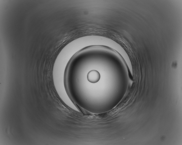 X0000097920621200803281427