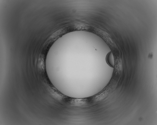 X0000097920622200803281427