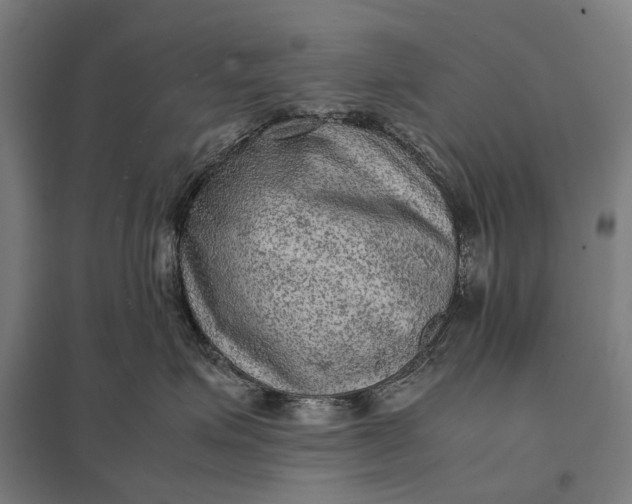 X0000097920623200803281427