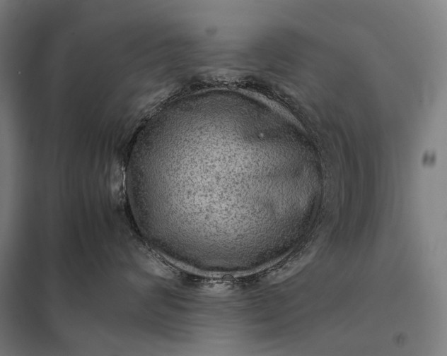 X0000097920624200803281427