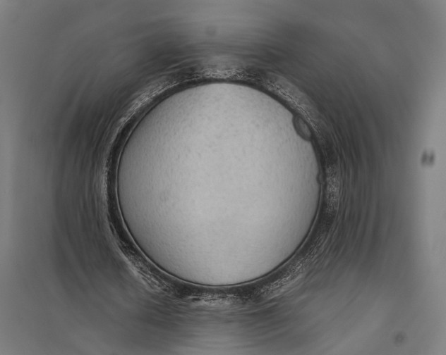 X0000097920626200803281426