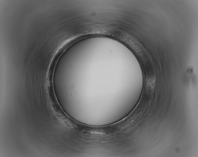 X0000097920628200803281426