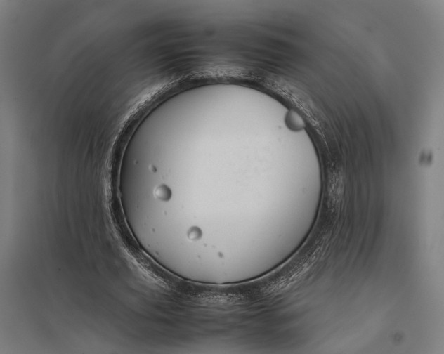 X0000097920629200803281426