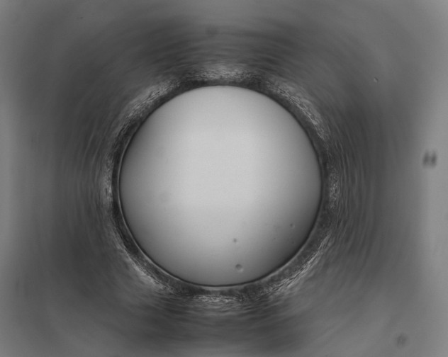 X0000097920633200803281427