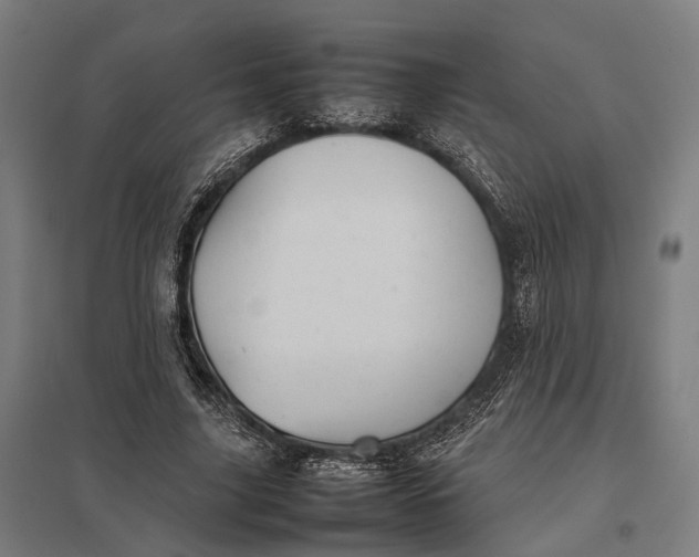 X0000097920635200803281427