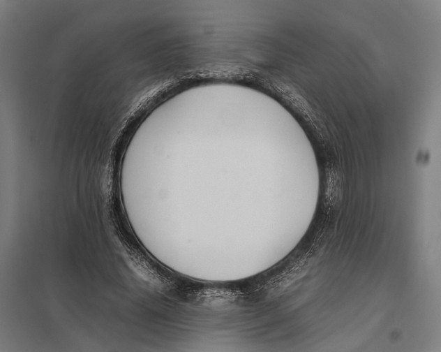 X0000097920636200803281427