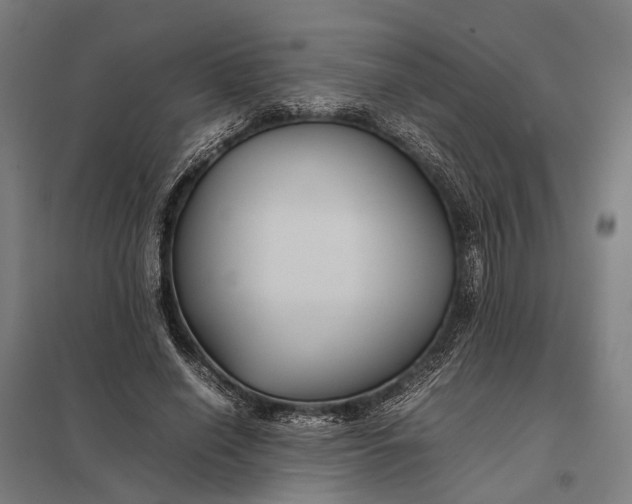 X0000097920638200803281427