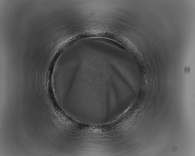 X0000097920640200803281427