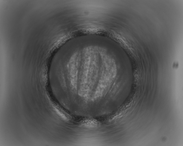 X0000097920642200803281427