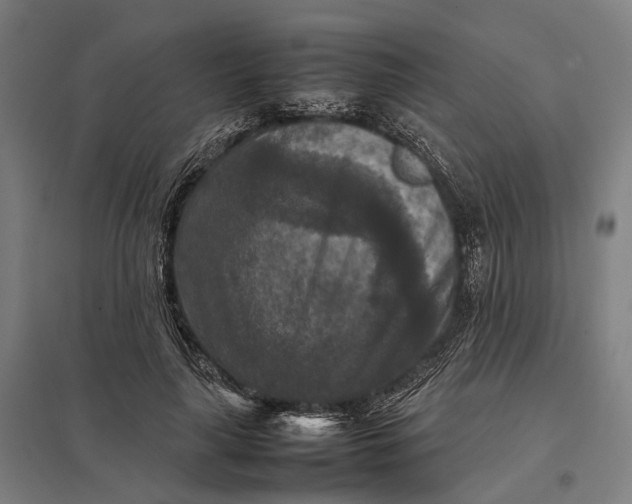 X0000097920643200803281427