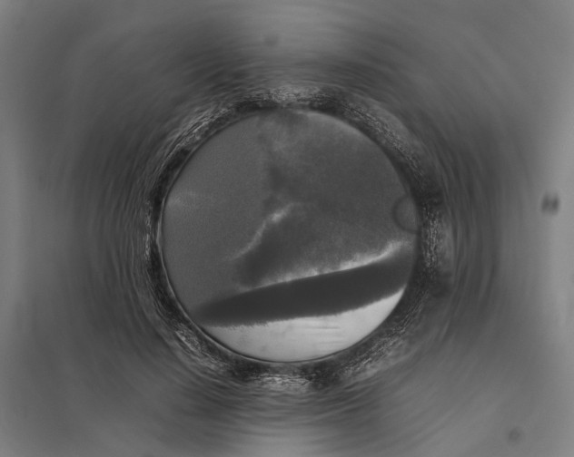 X0000097920644200803281427