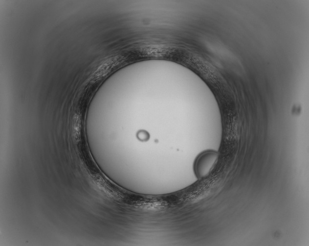 X0000097920646200803281427