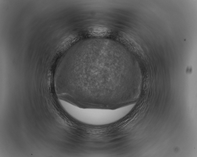 X0000097920647200803281427