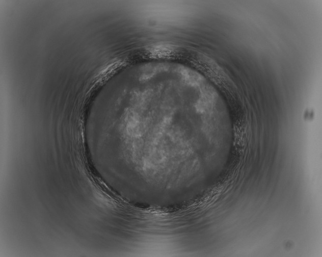 X0000097920648200803281427