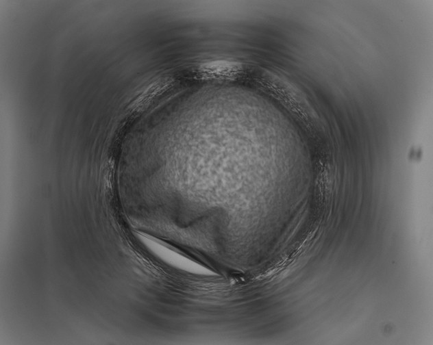 X0000097920649200803281427