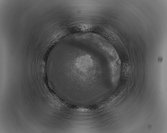 X0000097920650200803281427