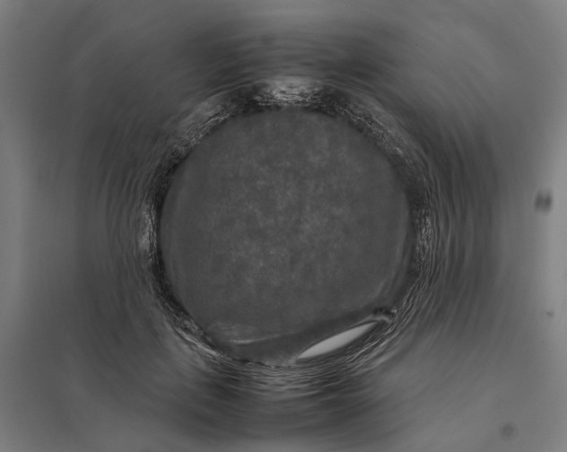 X0000097920651200803281427