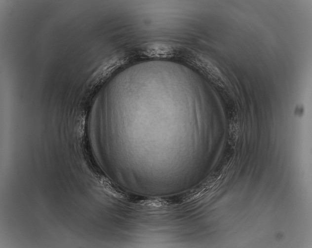 X0000097920652200803281427