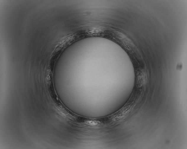 X0000097920654200803281427