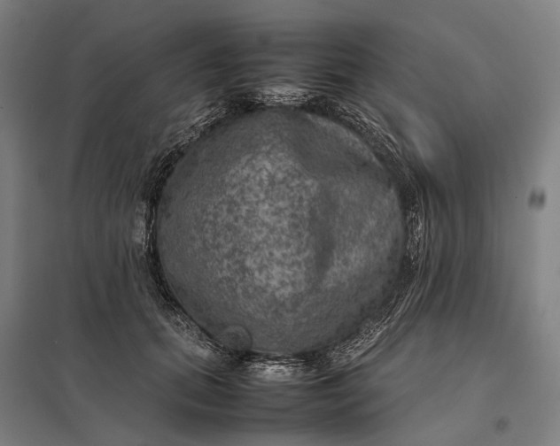 X0000097920655200803281427