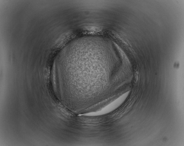 X0000097920657200803281427