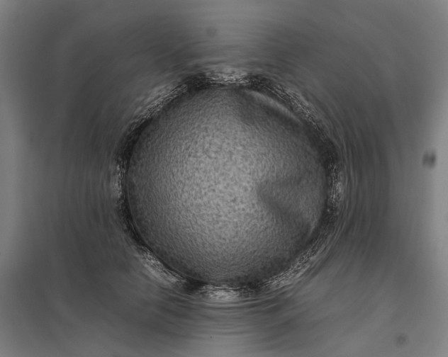 X0000097920658200803281427