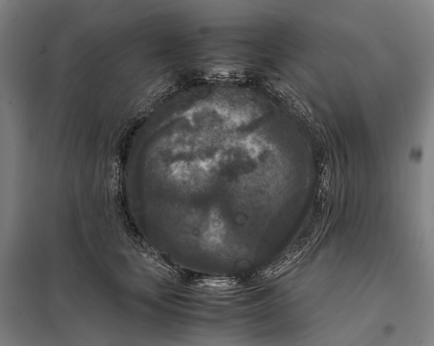 X0000097920659200803281427