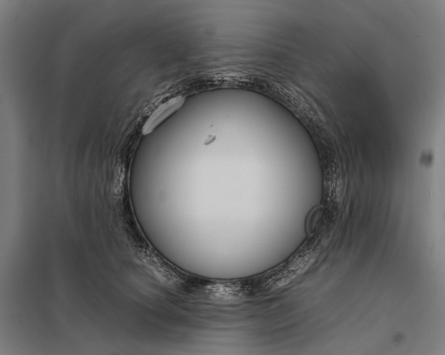 X0000097920660200803281427