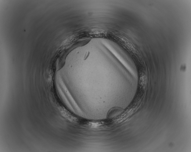 X0000097920662200803281427