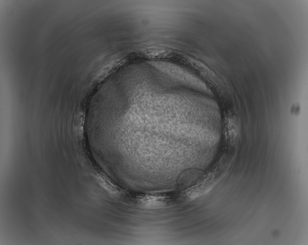 X0000097920664200803281427