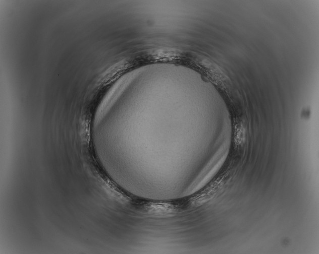 X0000097920666200803281427