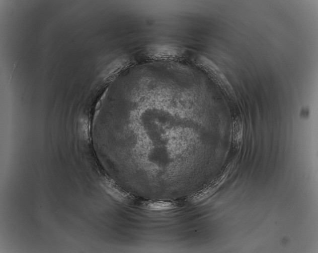 X0000097920669200803281427