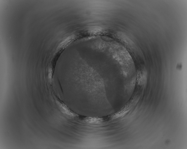 X0000097920670200803281427