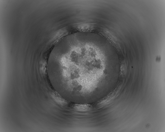 X0000097920671200803281427