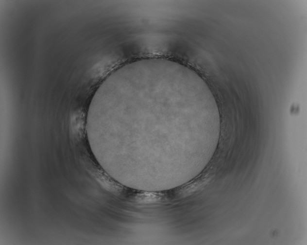 X0000097920672200803281427