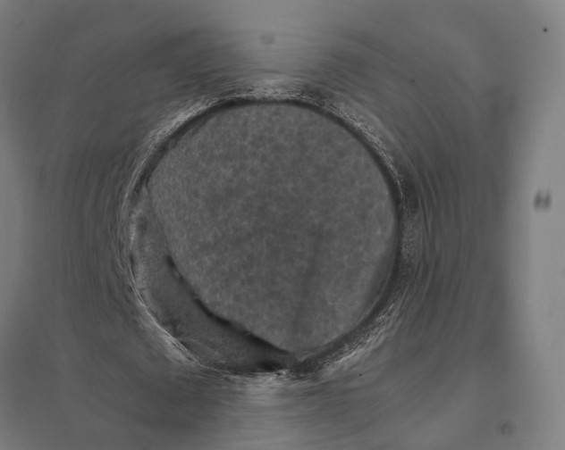 X0000097920673200803281426