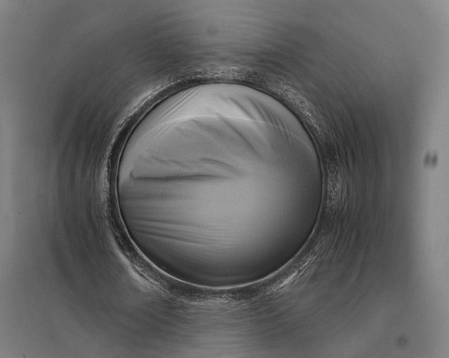 X0000097920674200803281426