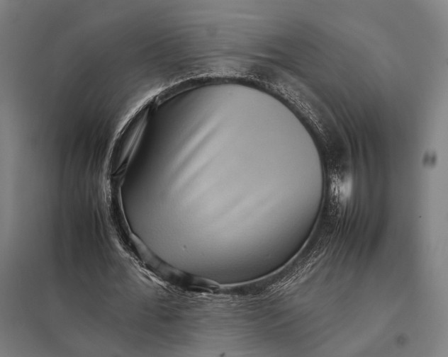 X0000097920676200803281426