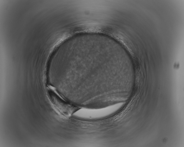 X0000097920677200803281426