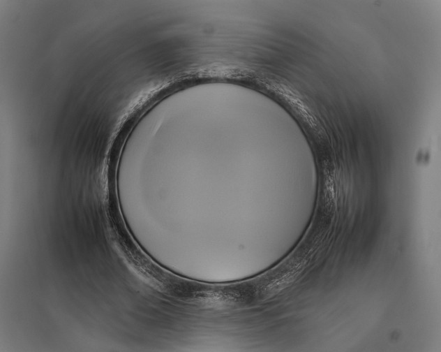 X0000097920678200803281426