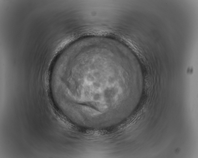 X0000097920679200803281426