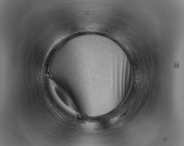 X0000097920680200803281426